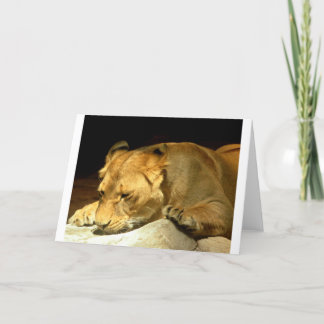 Lioness Card