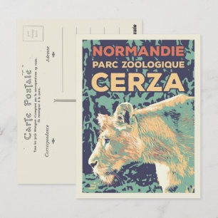 Lioness, Cerza Zoological park in Normandy France Postcard