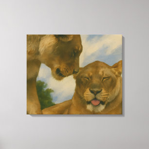 Lioness Companionship in Golden Light Canvas Print