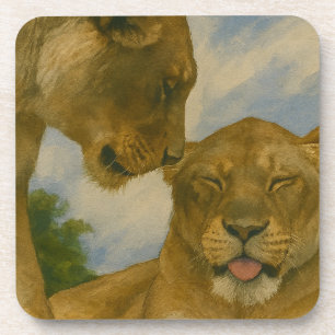 Lioness Companionship in Golden Light Coaster