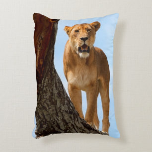Lioness Decorative Pillow