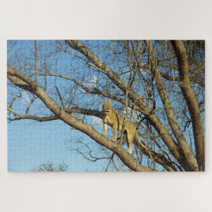 Lioness in a Tree Jigsaw Puzzle