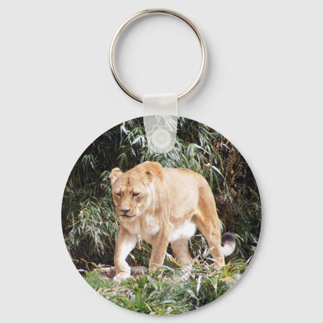 Lioness in Spring Keychain (Front)