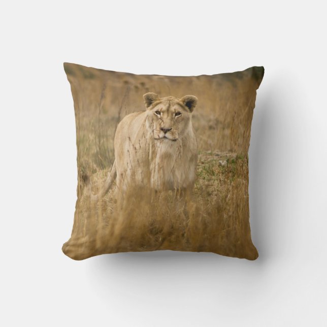 LIONESS IN THE GRASS THROW PILLOW (Front)
