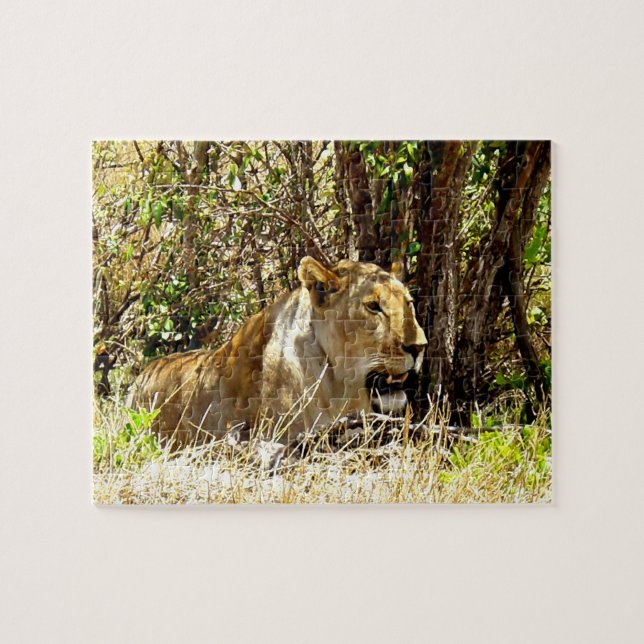 Lioness Jigsaw Puzzle (Horizontal)
