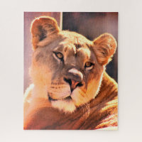 Lioness