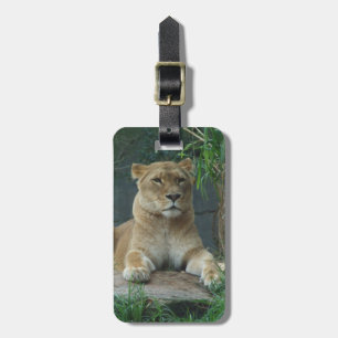 Lioness Luggage Tag