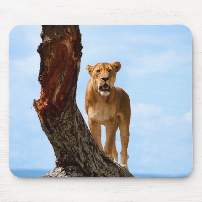 Lioness Mouse Pad (Front)