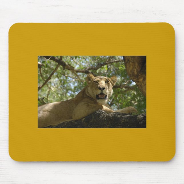 Lioness Mousepad (Front)