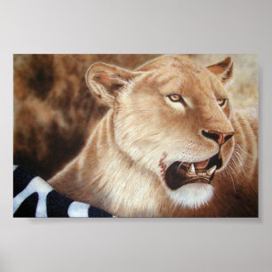Lioness on her Kill Poster