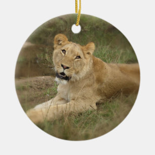 Lioness Ornament