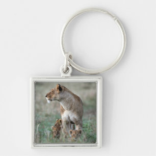 Lioness (Panthera leo) and cubs, Masai Mara Keychain