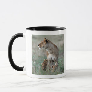 Lioness (Panthera leo) and cubs, Masai Mara Mug