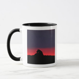 Lioness (Panthera leo) sitting, at sunset, Masai Mug