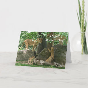 Lioness Pride Mother's Day Card