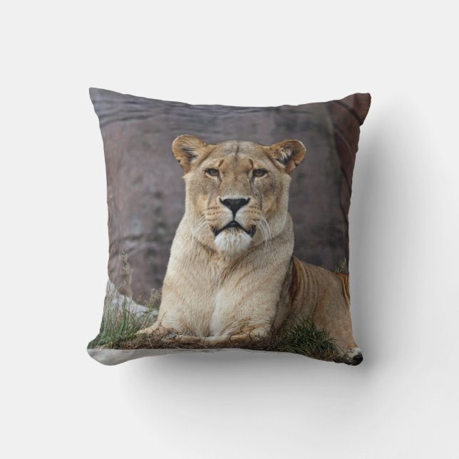 LIONESS RELAXING THROW PILLOW (Front)