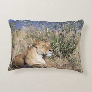 Lioness resting accent pillow