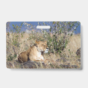 Lioness resting badge