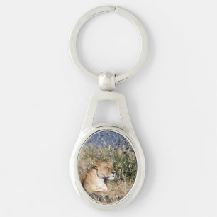 Lioness resting keychain