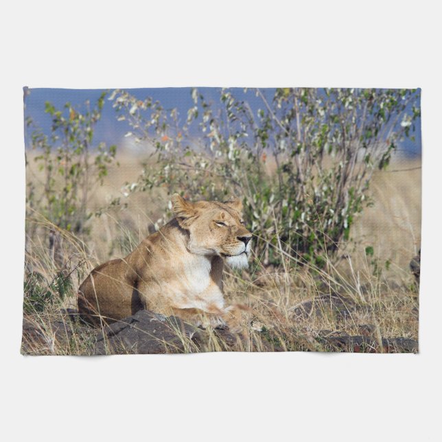 Lioness resting kitchen towel (Horizontal)