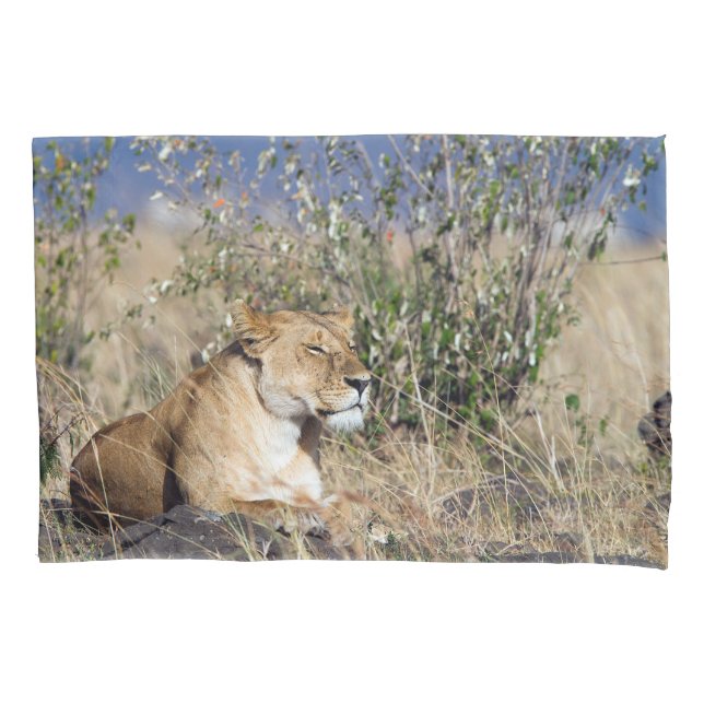 Lioness resting pillowcase (Front)