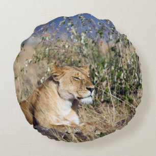Lioness resting round pillow