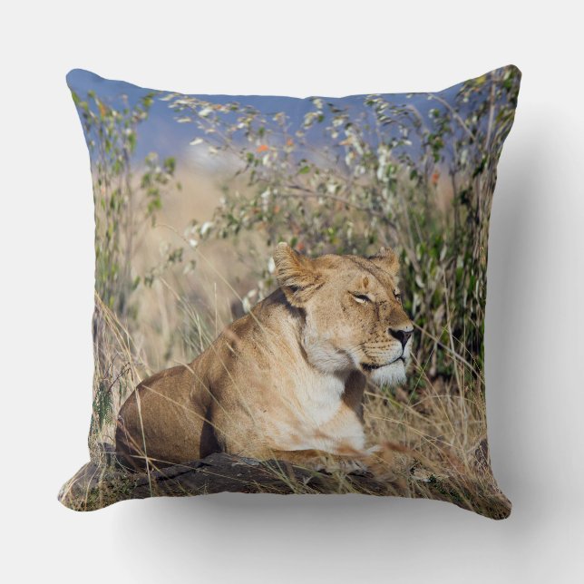 Lioness resting throw pillow (Front)