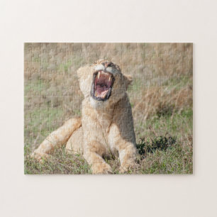 Lioness Roaring Puzzle