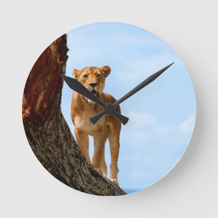 Lioness Round Clock