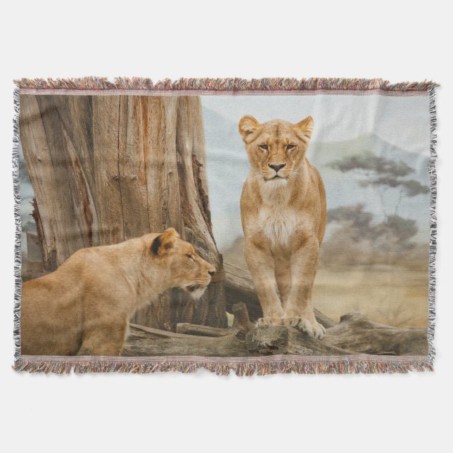Lioness Rules Throw Blanket (Front)