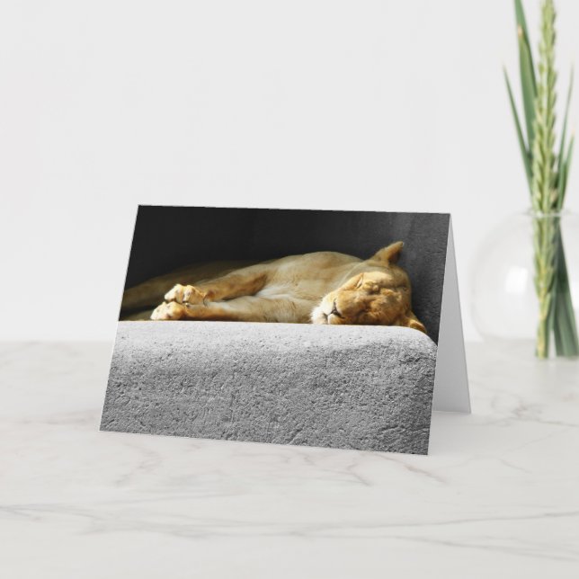 Lioness Sleeping Greeting Card (Front)