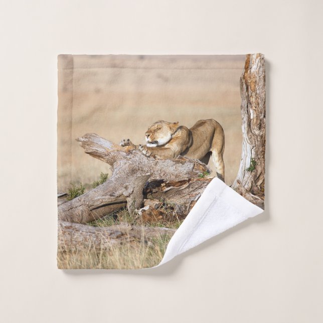 Lioness stretching (Gant de toilette)