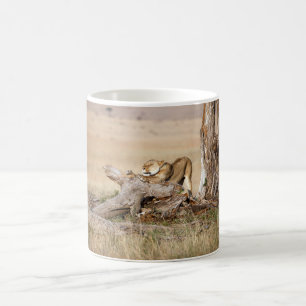 Lioness stretching coffee mug
