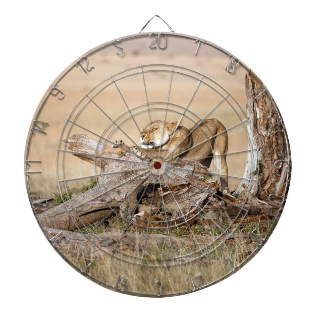 Lioness stretching dartboard (Front)