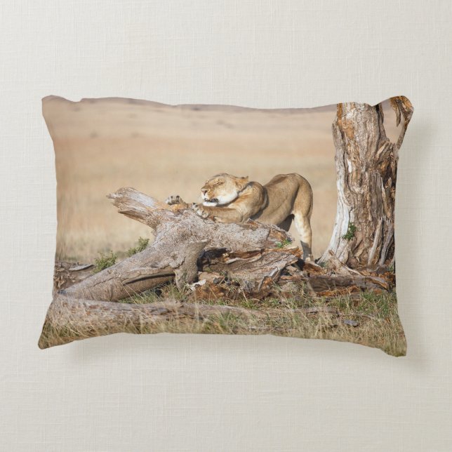 Lioness stretching decorative pillow (Back)