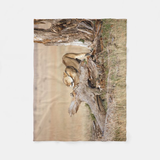 Lioness stretching fleece blanket (Front)