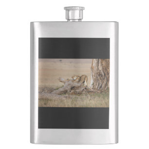 Lioness stretching hip flask