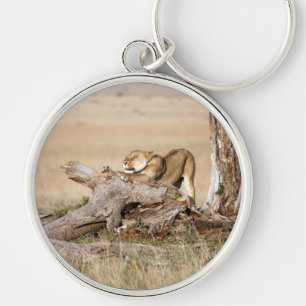 Lioness stretching keychain