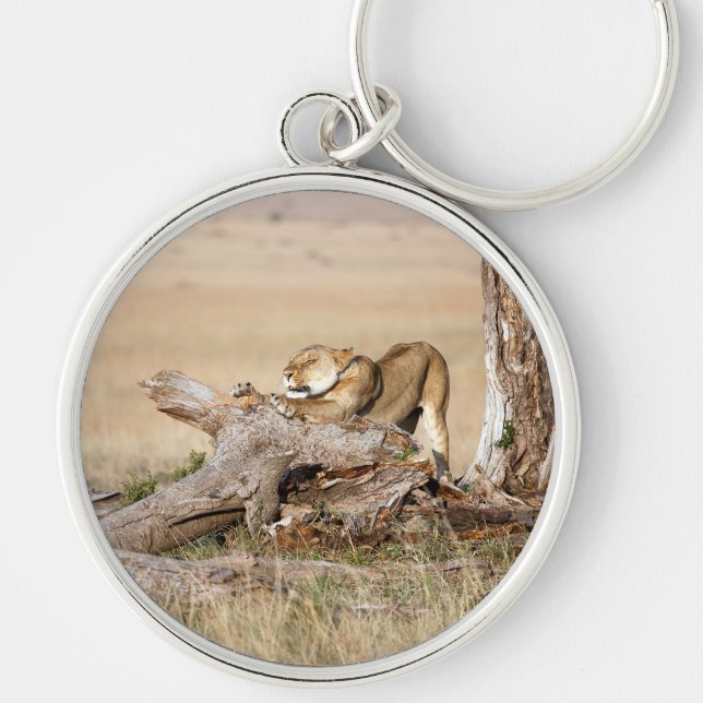 Lioness stretching keychain (Front)