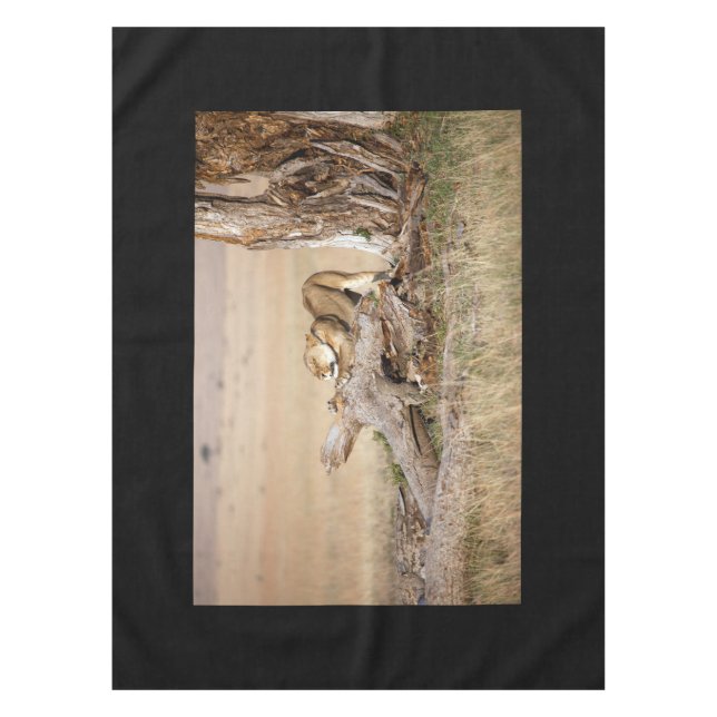 Lioness stretching tablecloth (Front)