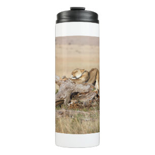 Lioness stretching thermal tumbler