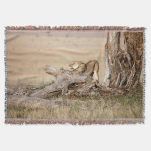 Lioness stretching throw blanket