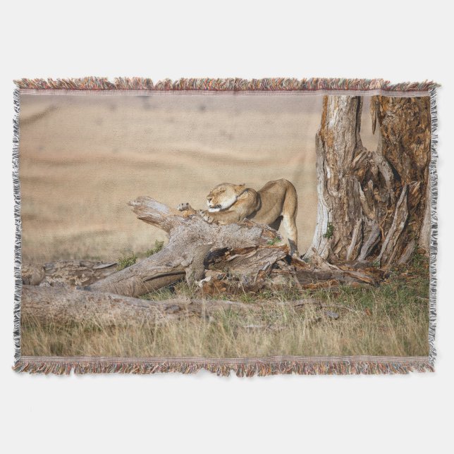 Lioness stretching throw blanket (Front)
