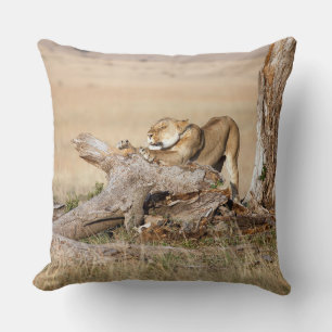 Lioness stretching throw pillow