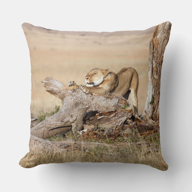Lioness stretching throw pillow (Front)