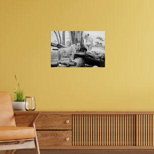 Lioness Wildlife Black & White Photography Art Poster