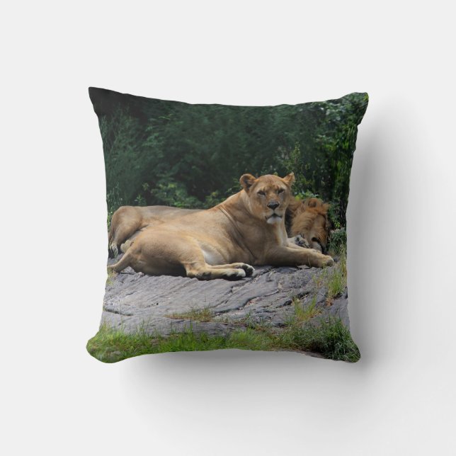 Lioness with Sleeping Lion Photo Throw Pillow (Front)