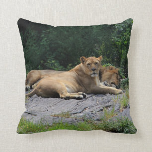 Lioness with Sleeping Lion Photo Throw Pillow