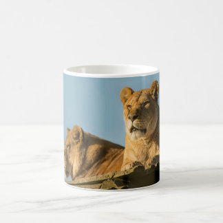 Lionesses Coffee Mug