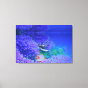 Lionfish Aquarium Fish Purple Pterois Zebrafish Canvas Print